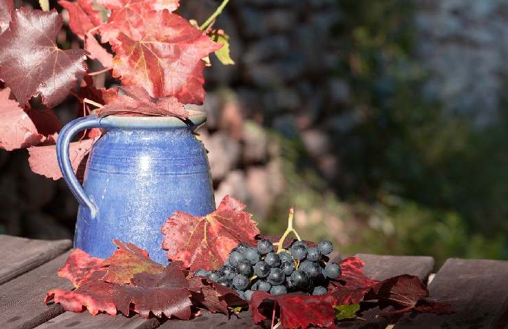 Brocca e vino in autunno