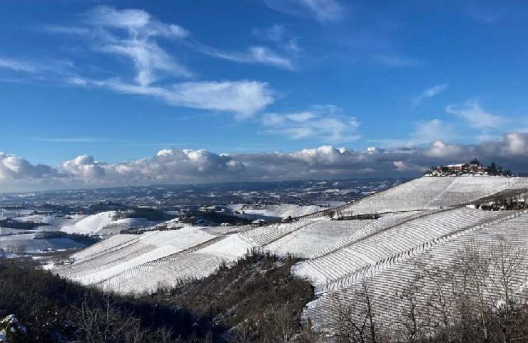 Paesaggio Treiso