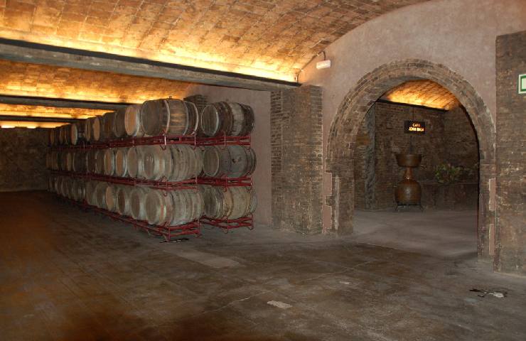 Cantina vino