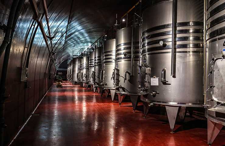 Fermentazione del vino