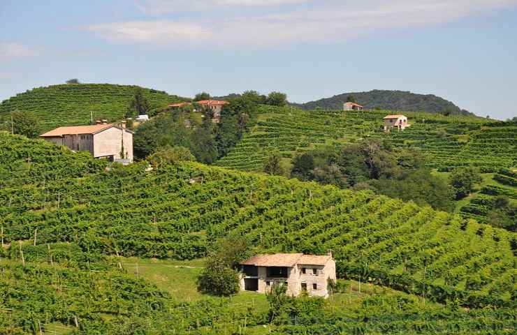 Azienda agricola