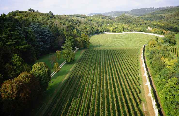 Tenuta Santa Maria