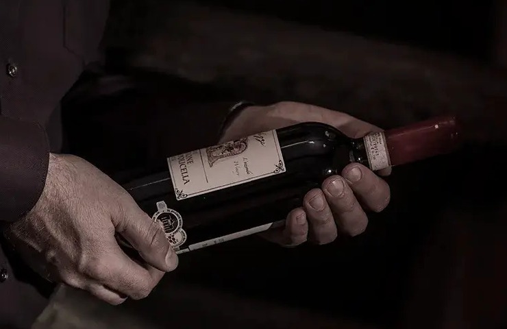 Amarone della Valpolicella di Falezze Luca Anselmi