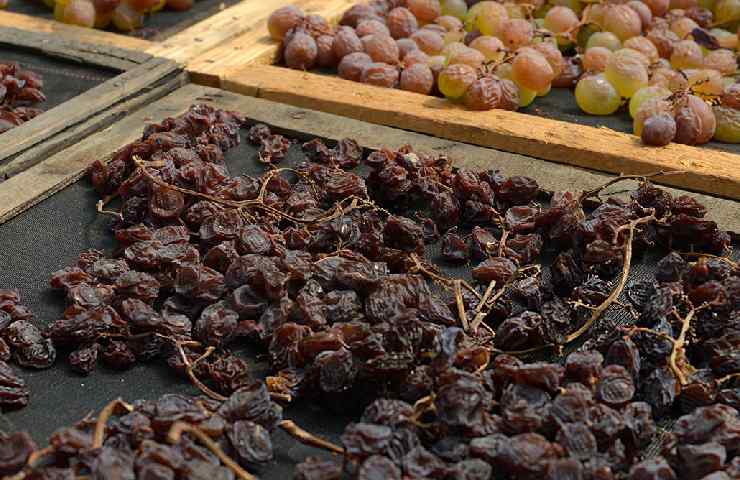 appassimento uve Ben Ryé Passito di Pantelleria Donnafugata