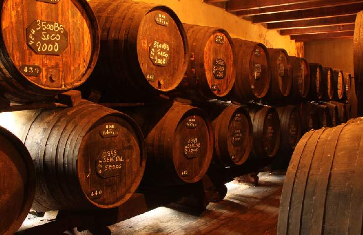 botti di legno del vino Madeira cantina H.M Borges 