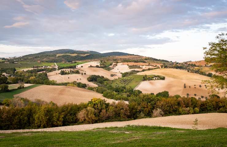 Colline di Macerata