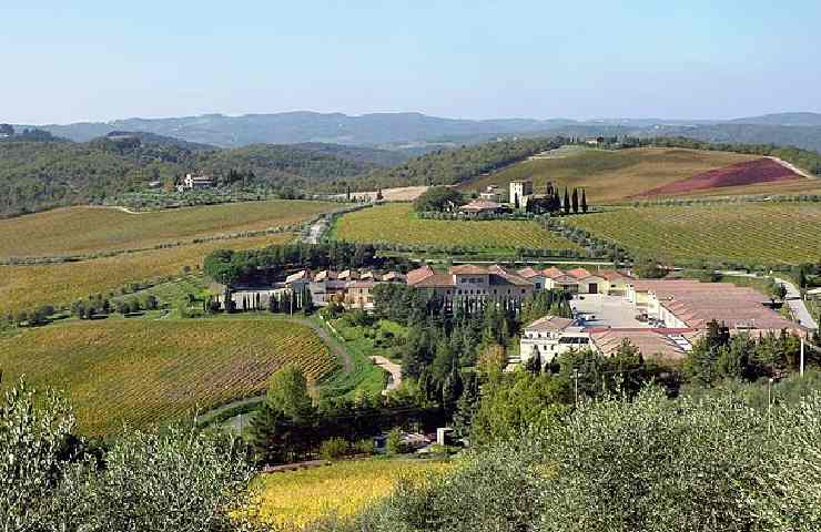 Vista sui vigneti della regione del Chianti