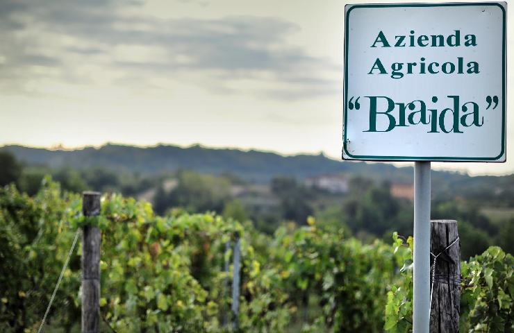 Vigneto Azienda Agricola Braida