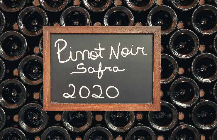 Pinot Noir