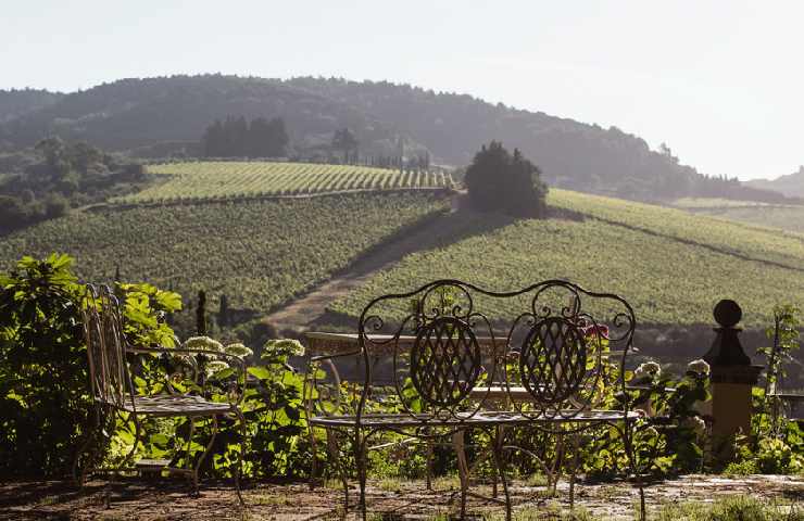 Tenuta Tignanello dei Marchesi Antinori