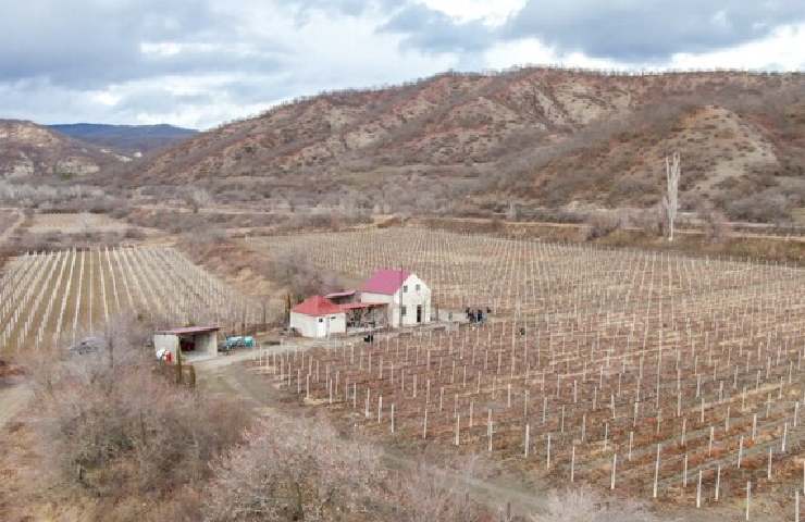 Vigneti della Georgia