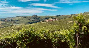 Barolo: si pensa a nuovo disciplinare tra innovazione e tradizione