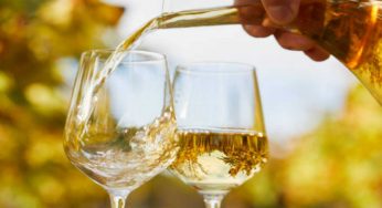 Riesling, la storia e le caratteristiche