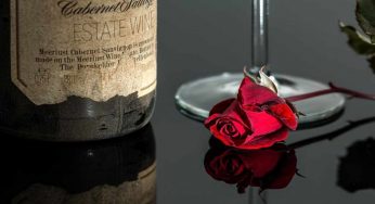 Cabernet Sauvignon, caratteristiche e migliori etichette