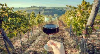 Nuovo record nel 2022 per le vendite di vino italiano
