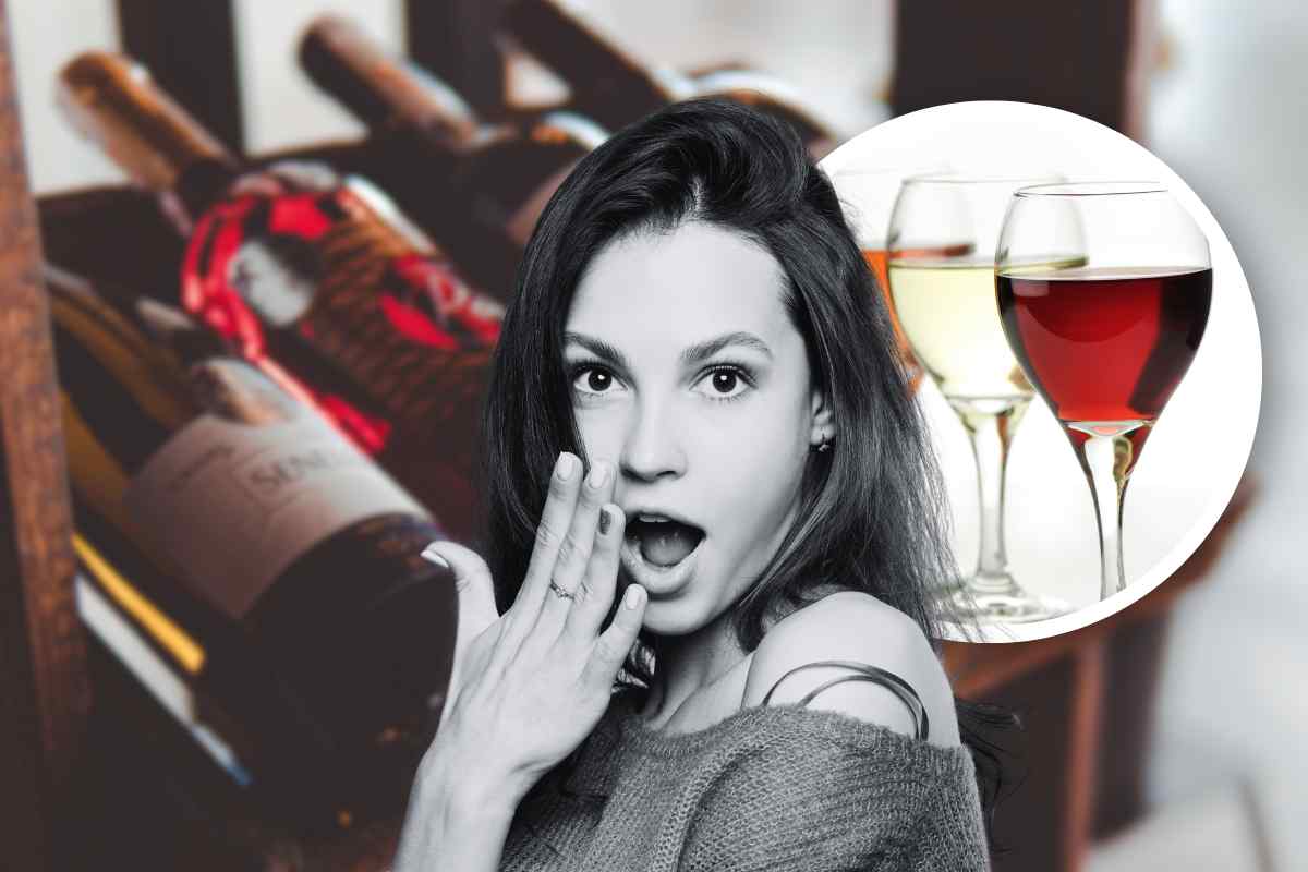 Come scegliere i giusti calici da vino