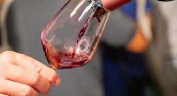 Vino dolce o vino secco, quali sono le differenze?
