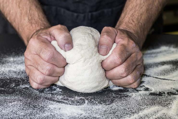 pizza fatta in casa