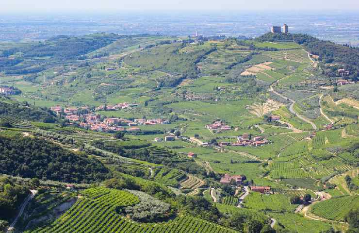 Territorio della Valpolicella