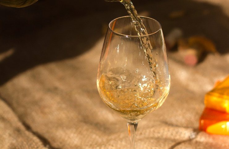 Vino bianco