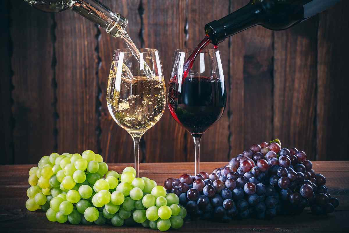 Differenze di calorie tra un bicchiere di vino rosso e quello bianco