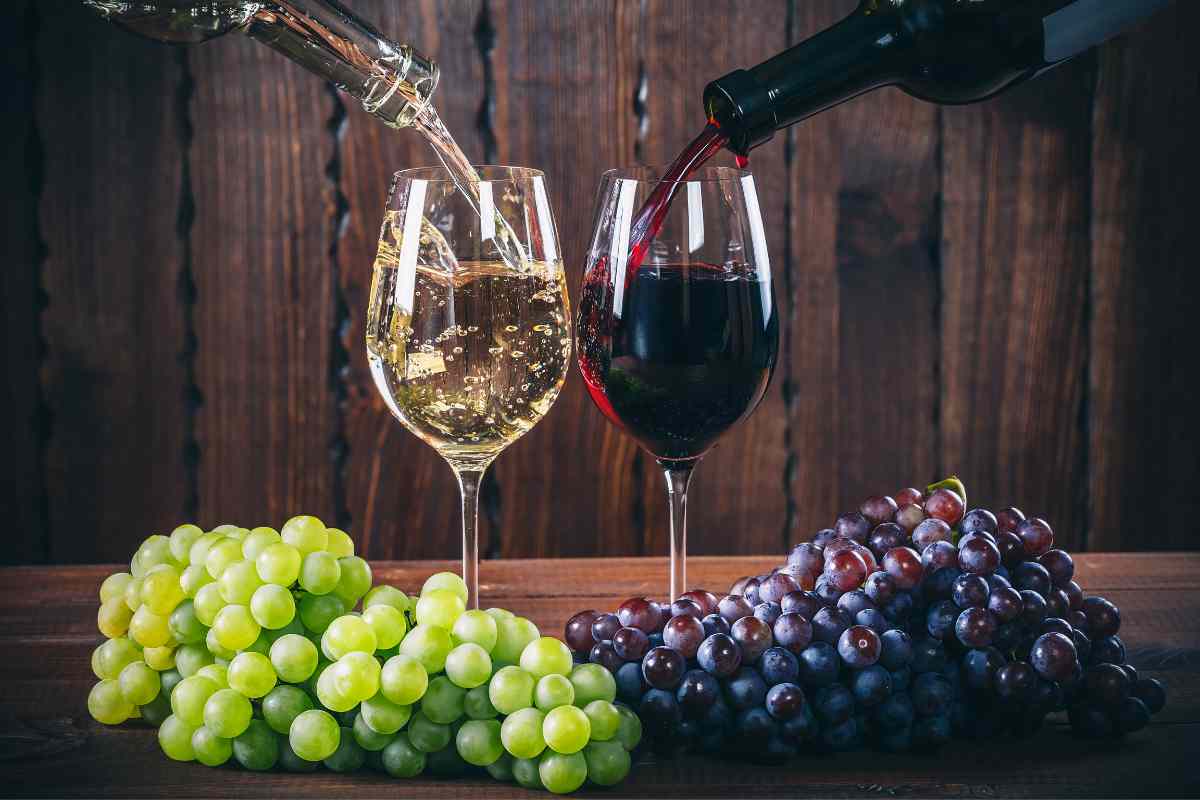 Le differenze nutrizionali tra vino bianco e rosso