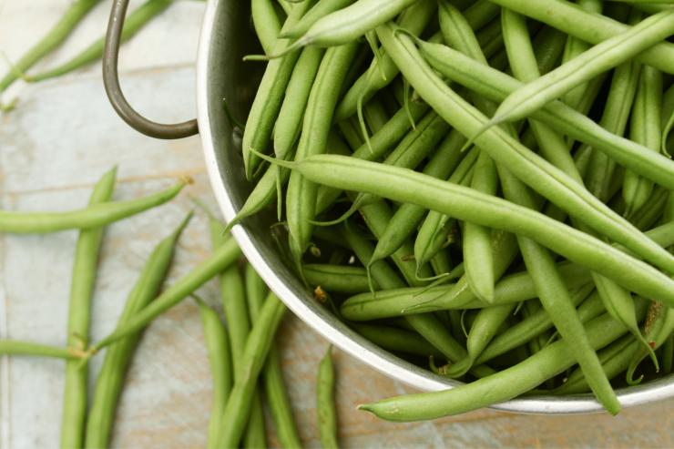 ricetta fagiolini 'ammuddicati'