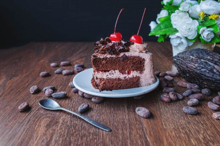 torta cioccolatosa senza farina