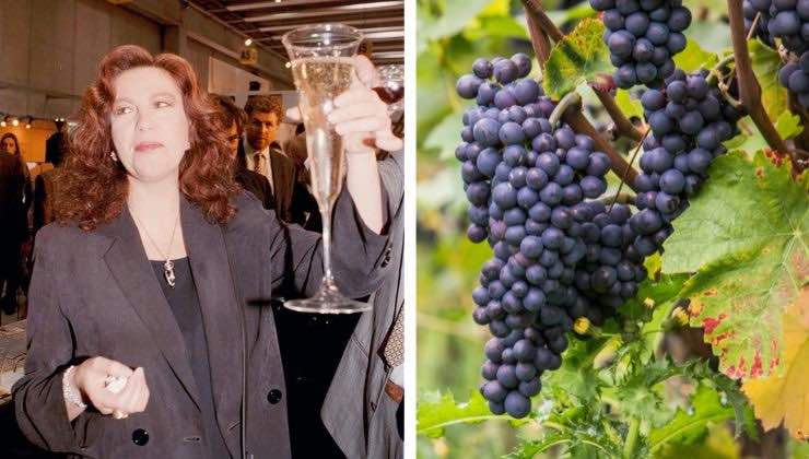 i vini più buoni prodotti da stefania sandrelli