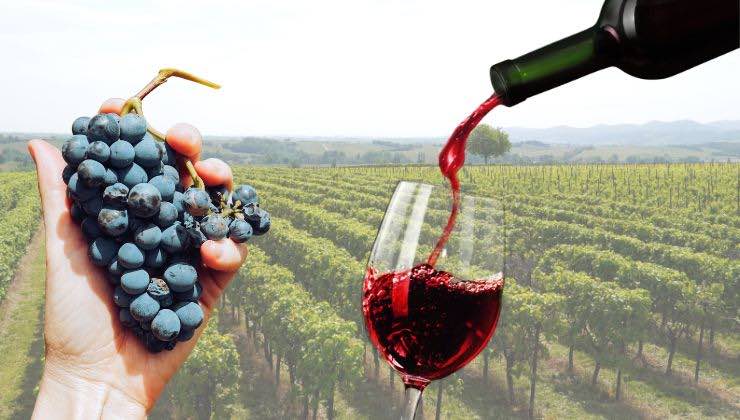 italia e francia perdono l'esclusiva sul vino