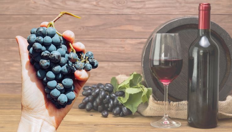 nuova legge contro il consumo di vino