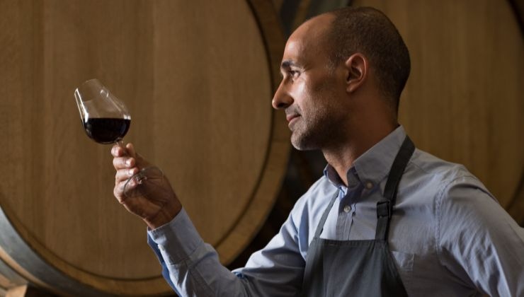 cosa devi sapere se vuoi diventare un sommelier