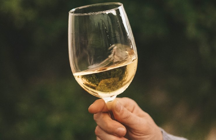 Il Vermentino di Gallura è il vino più venduto in Italia, anche grazie ai turisti stranieri della Costa Smeralda