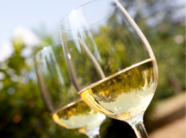 Vino bianco è perfetto per la primavera