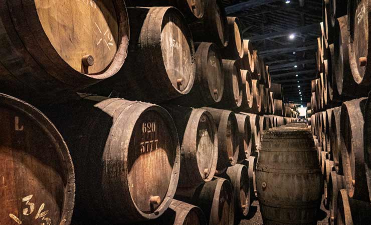 vista su una cantina vinicola con botti di legno