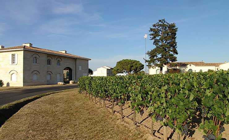 le vigne della cantina petrus a pomerol