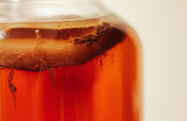 Kombucha