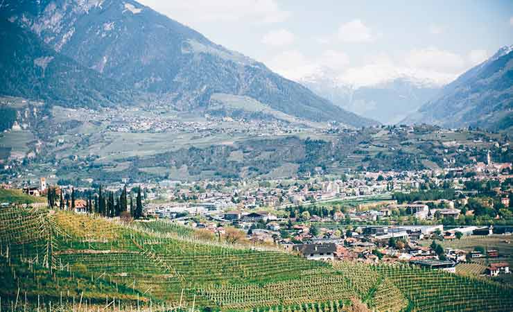 vigneti in alto adige