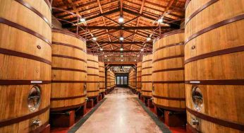 Fermentazione secondaria del vino, tutto quello che bisogna sapere
