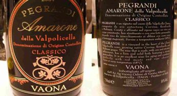 In che modo viene prodotto l’Amarone della Valpolicella?