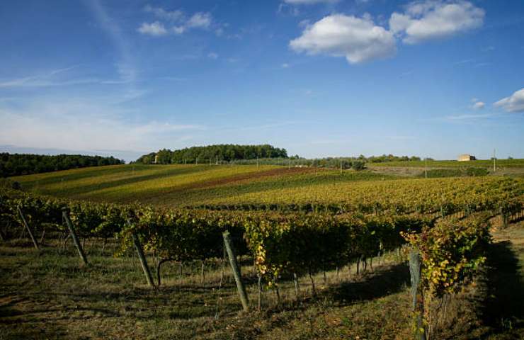 Strada del vino nel Lazio