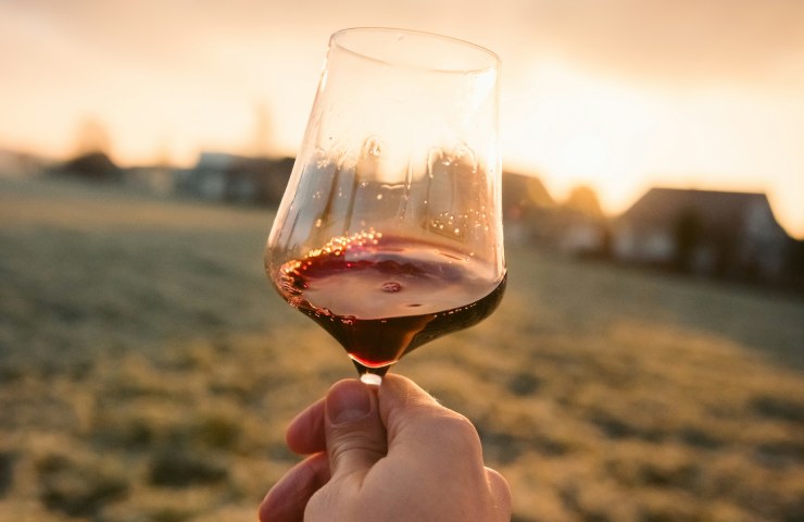 Per evitare il gusto di luce è fondamentale conservare il vino nella maniera più corretta