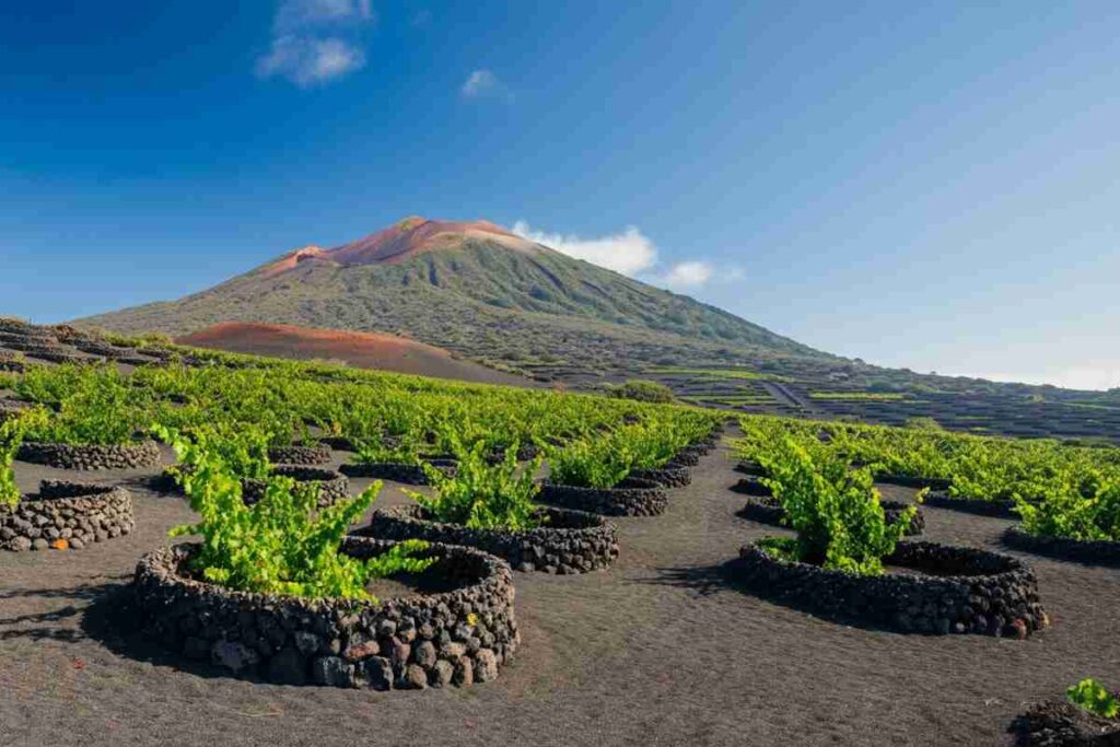 L'anima dell'Etna svelata da tenuta di fessina