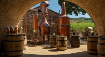 Il rum italiano conquista il mondo: la sua ascesa inarrestabile