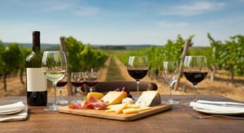 Scopri il linguaggio del vino: il glossario essenziale per appassionati