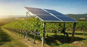 Un innovativo sistema di pannelli solari rivoluziona la produzione del vino