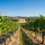Dazi Usa: il blocco delle spedizioni di vino potrebbe far perdere 6 milioni di euro al giorno alle cantine italiane