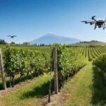 Droni e sensori: la rivoluzione della viticoltura in Irpinia e Sannio