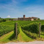 Franciacorta celebra 35 anni di eccellenza nel vino