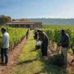 Marco Caprai in corsa per i WEmbrace Awards 2025 con il progetto “L’agricoltura che dà asilo”